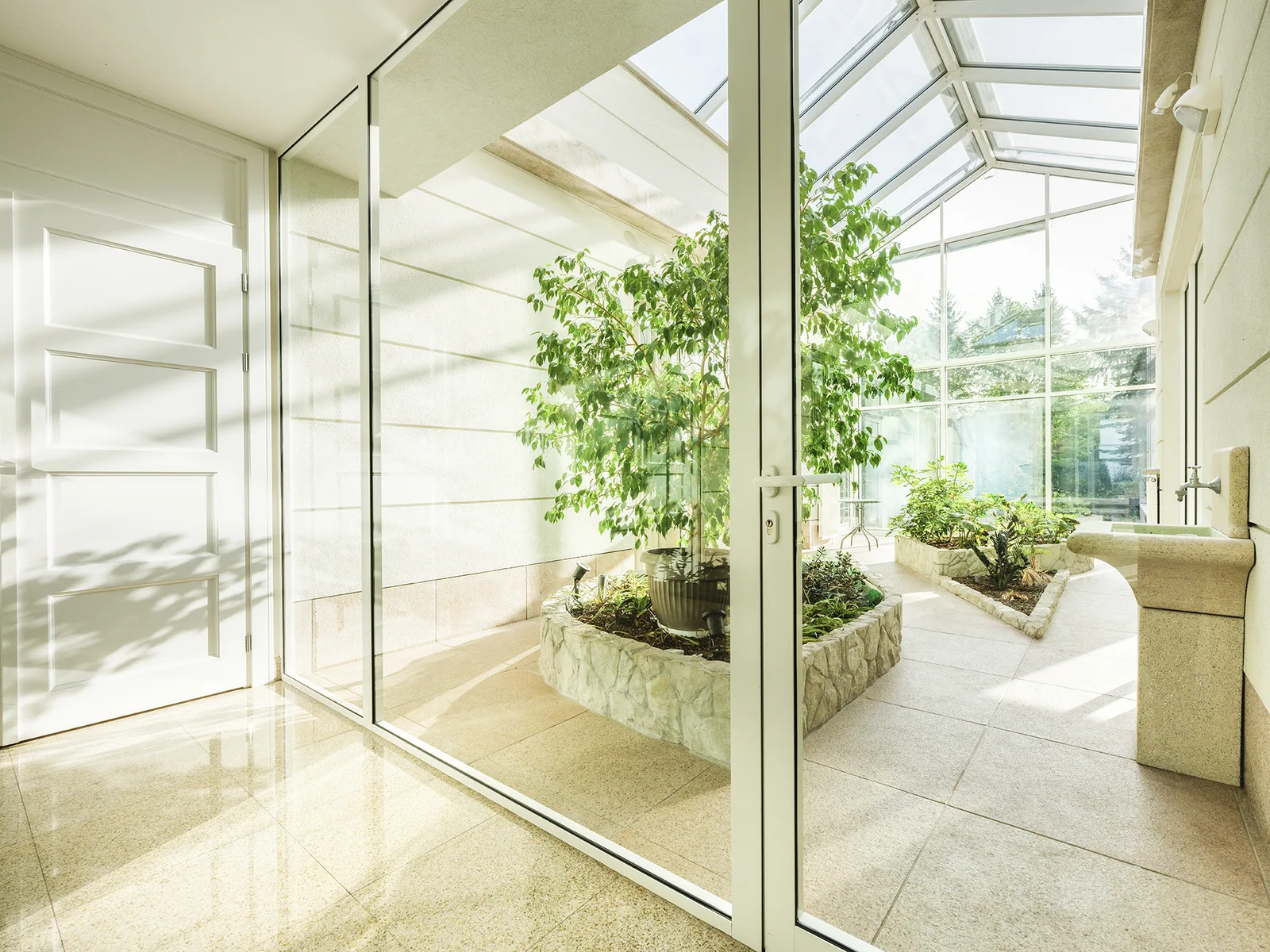 Winter garden full of light and greenery